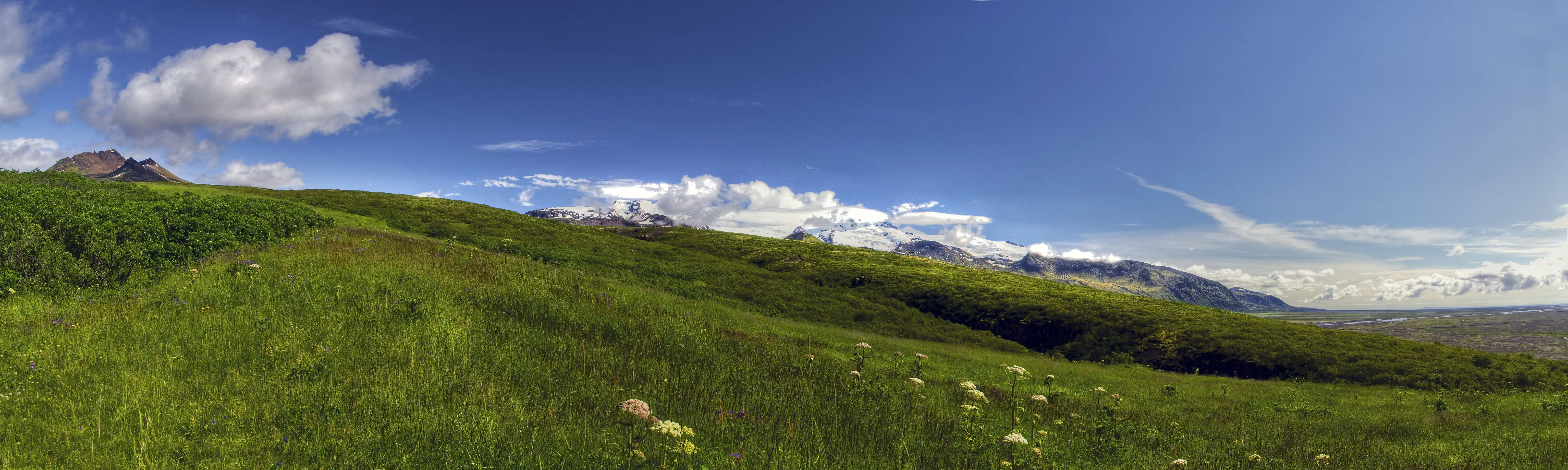 An image of lush green vegetation on a hill in Skaftafell by photographer Mariejirousek