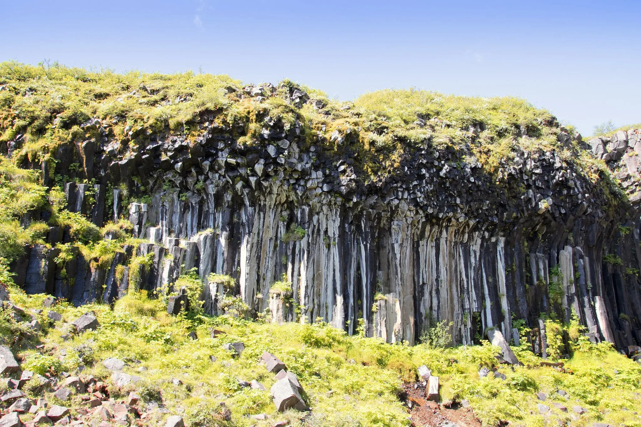 An image of moss and grass growing on basalt rock by photographer Mariejirousek