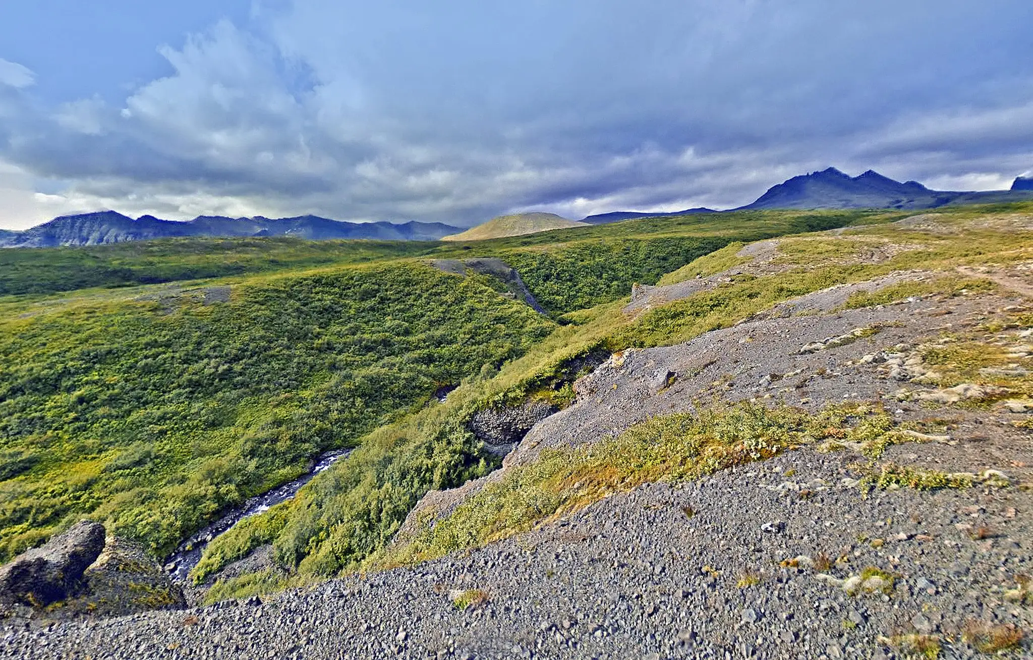 Gravel and local mossy vegetation in Skaftafell by photographer Gudrun