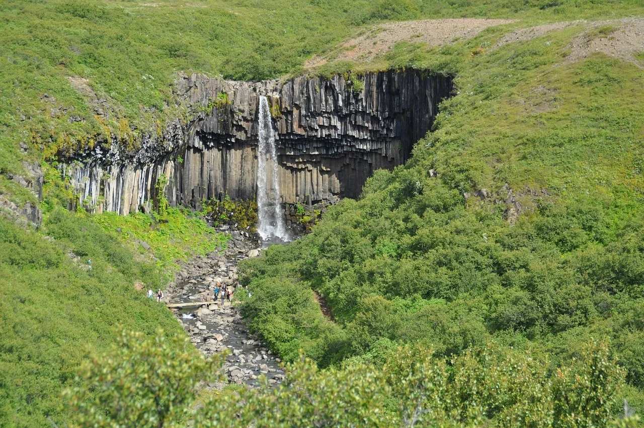 Svartifoss framed in grassy fields, photographed from a distance by photographer Ronile